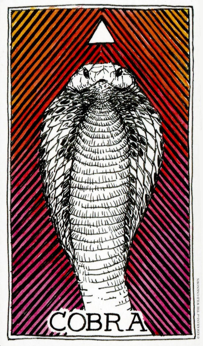 Illustration of a cobra on a striped red and yellow background with the word 'Cobra' at the bottom.