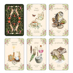 Set of six tarot cards with nature and mystical elements on a white background