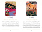Two tarot cards with artistic designs and text on a white background