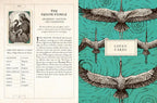 A flat lay of an open card deck or booklet showing the front and back. The left page is cream with black text and a small illustration, while the right page has a teal background with three detailed heron illustrations and the title 'THE HERON PRINCE' and 'COVEN CARDS'.