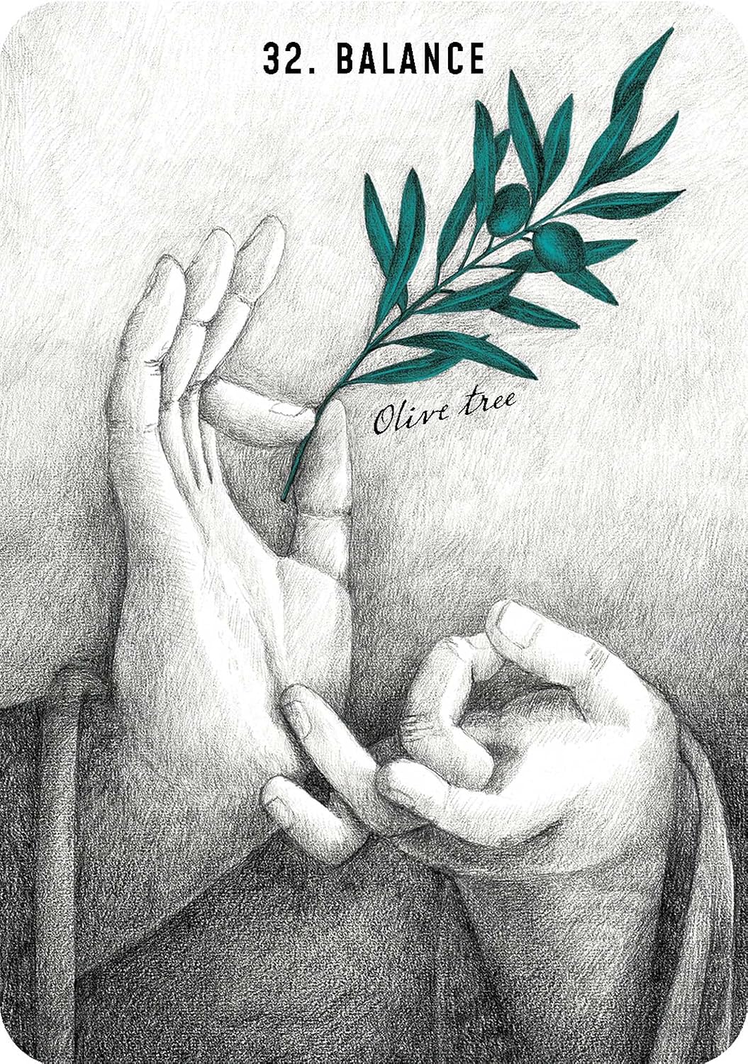 Illustration of two hands holding an olive branch with 'Balance' and 'Olive tree' text.