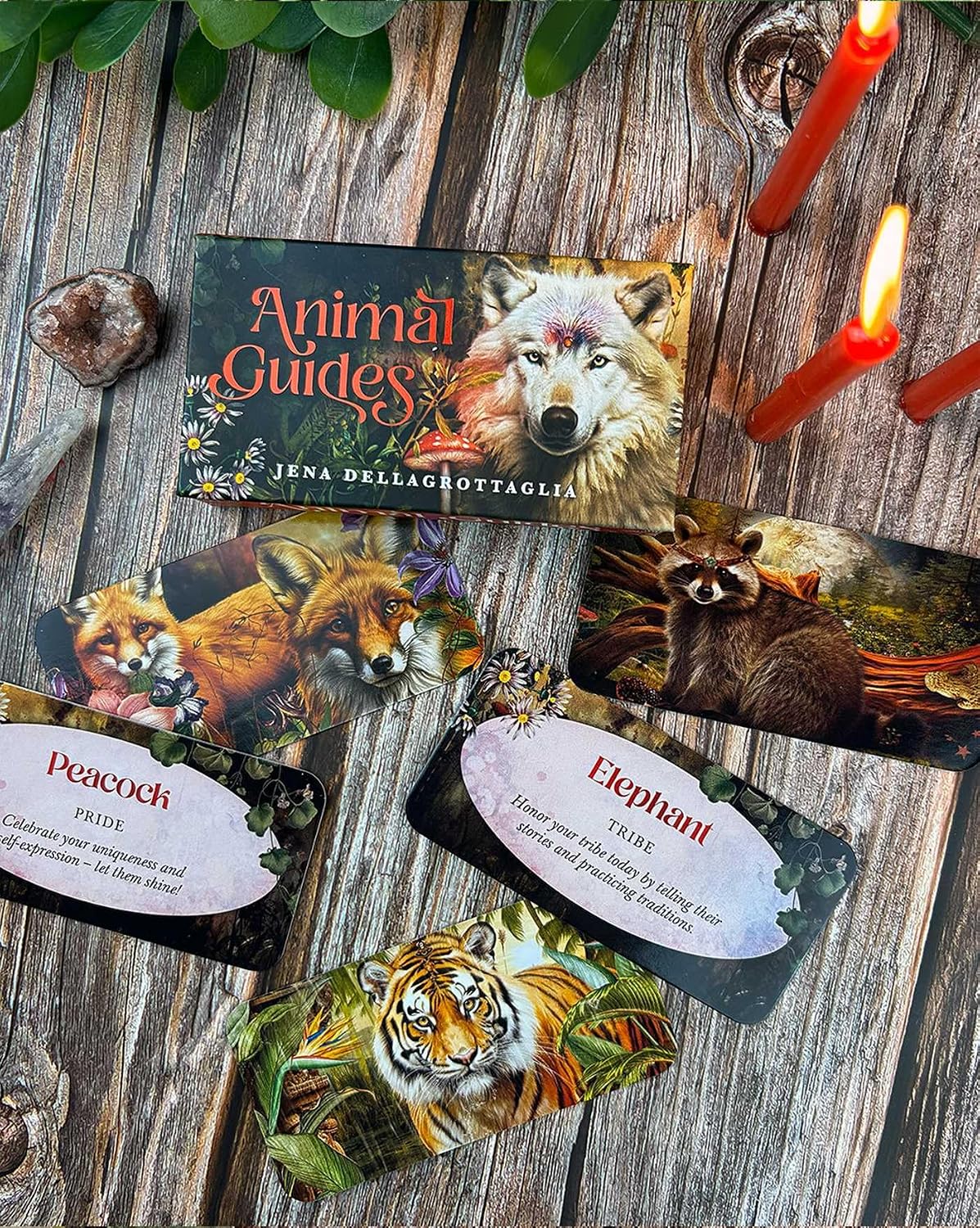 Animal Guides