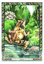 The Druid Animal Oracle Deck