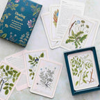 Botanical cards and a matching box arranged on a light surface. The set includes a teal illustrated box labeled 'Healing Plants,' several printed cards with botanical illustrations, and a smaller teal card holder containing printed botanical artwork.