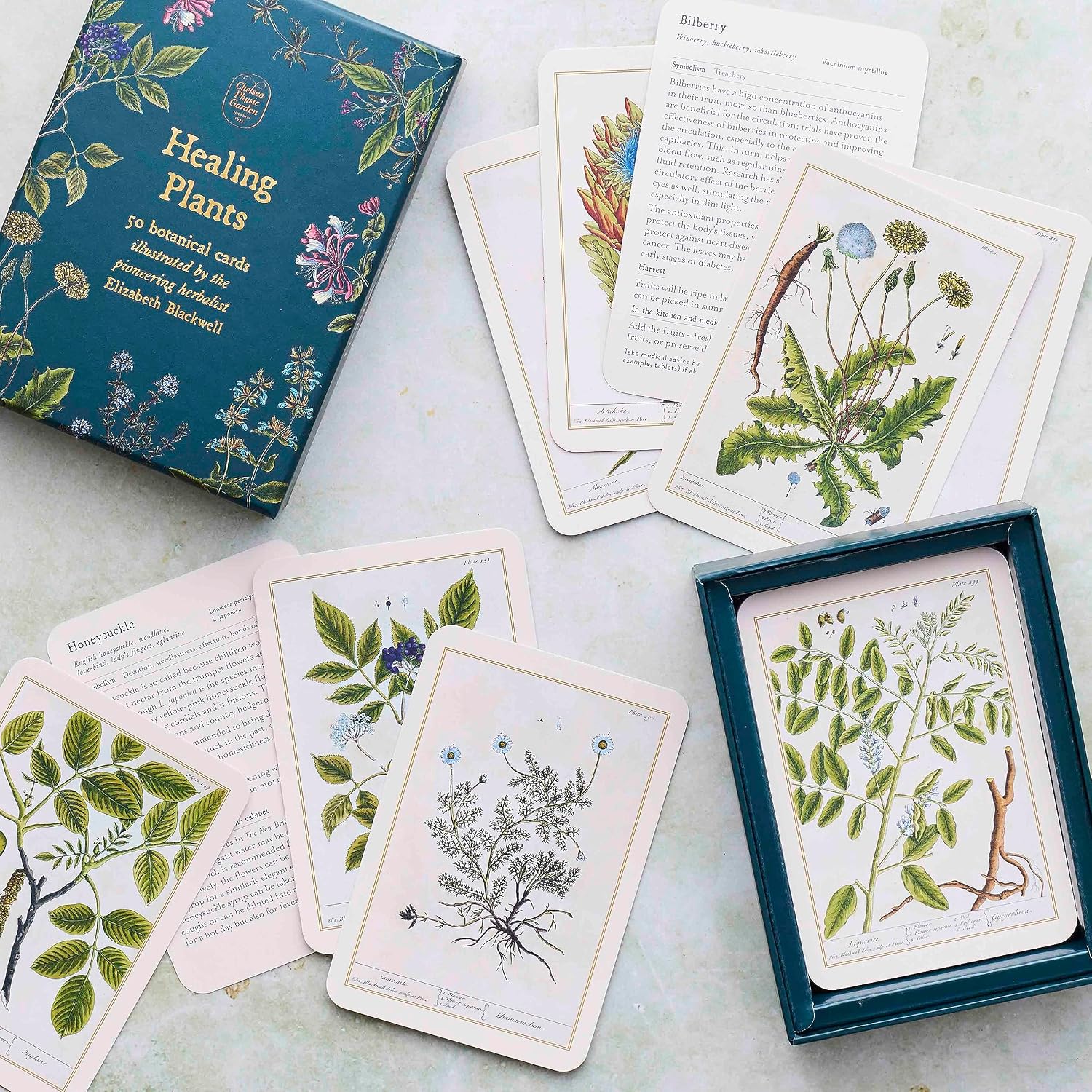 Botanical cards and a matching box arranged on a light surface. The set includes a teal illustrated box labeled 'Healing Plants,' several printed cards with botanical illustrations, and a smaller teal card holder containing printed botanical artwork.