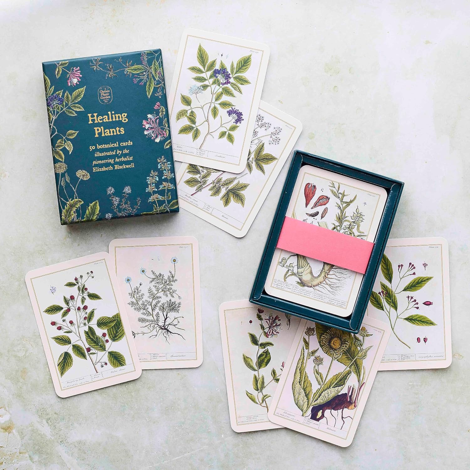 Herbal-themed cards with illustrations on a light surface