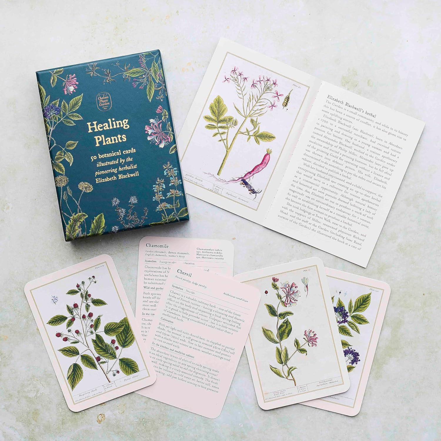 A flat-lay of a 'Healing Plants' oracle card deck and its contents, including a teal illustrated box, an open instruction booklet, and several cards with botanical illustrations and text, arranged on a light textured surface.