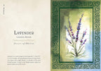 Illustration of lavender with decorative frame and text on a beige background