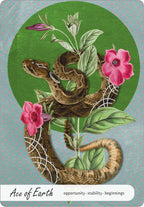 Card with a snake, flowers, and leaves on a green and blue background
