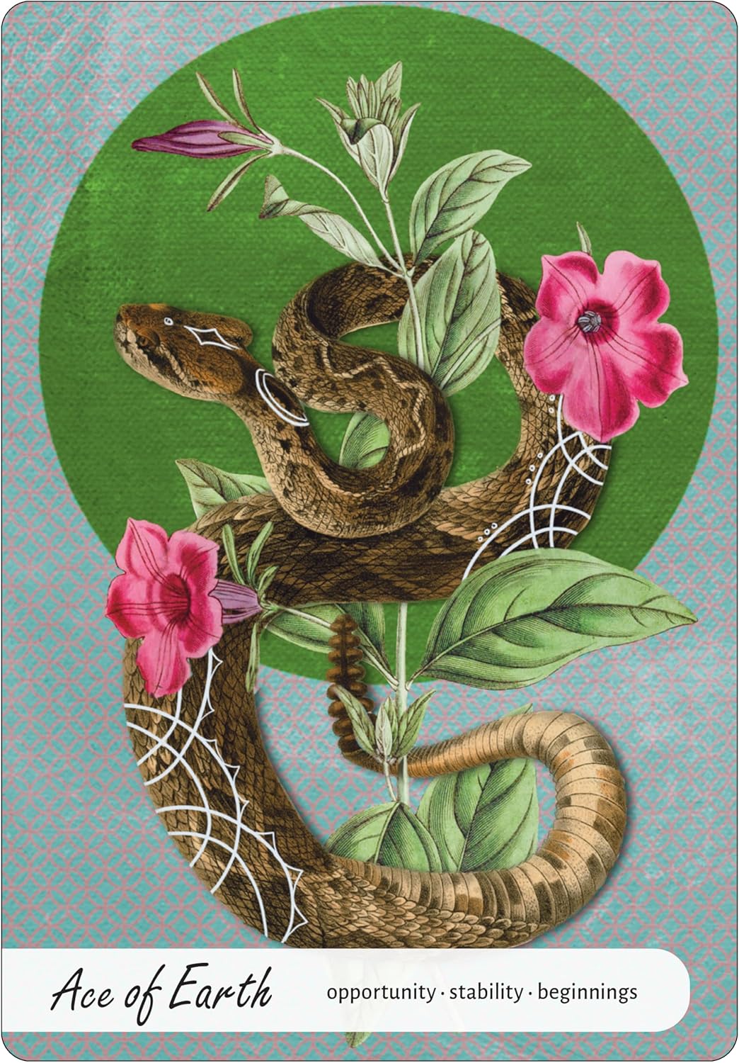 Card with a snake, flowers, and leaves on a green and blue background