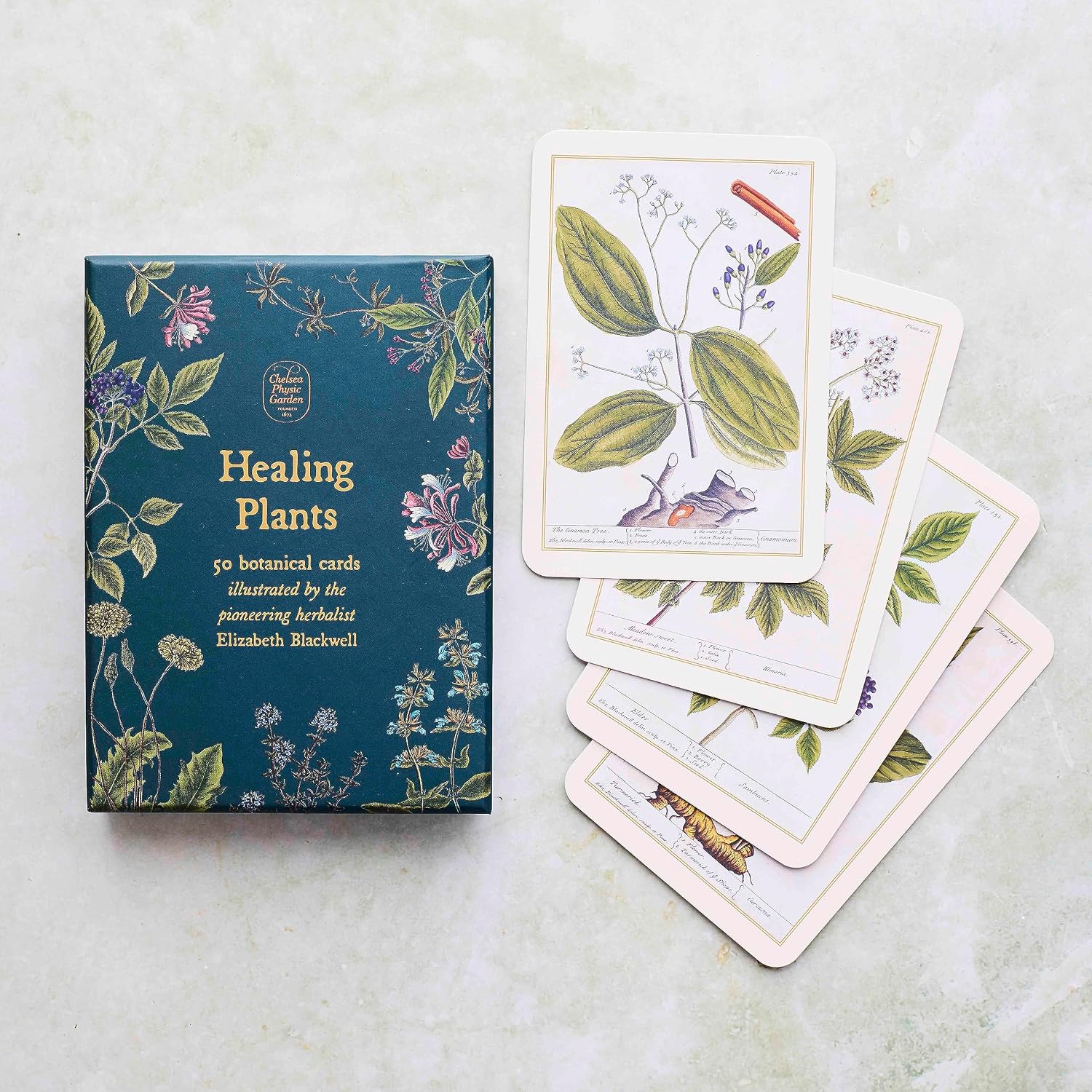 A boxed set of Healing Plants botanical cards displayed on a light stone surface, with the dark teal box on the left and several illustrated cards fanned out on the right.