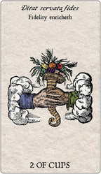 Card from a tarot deck with a hand holding flowers, clouds, and text on a beige background.