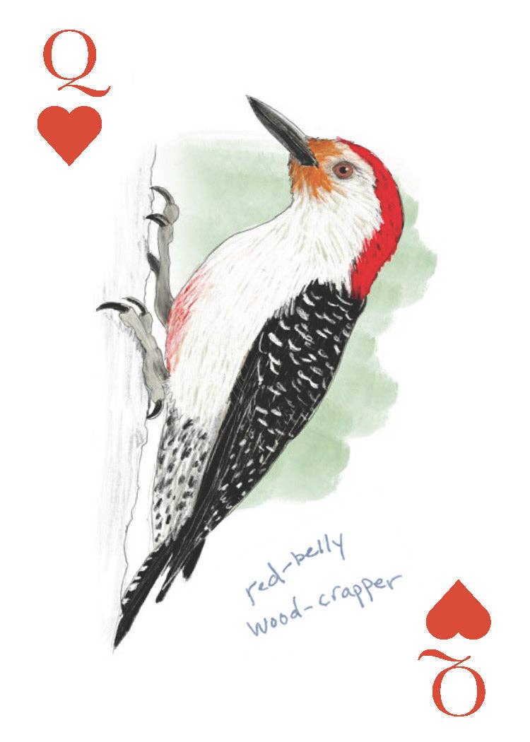 Card with a red-bellied woodpecker illustration and 'Q' symbol on a white background
