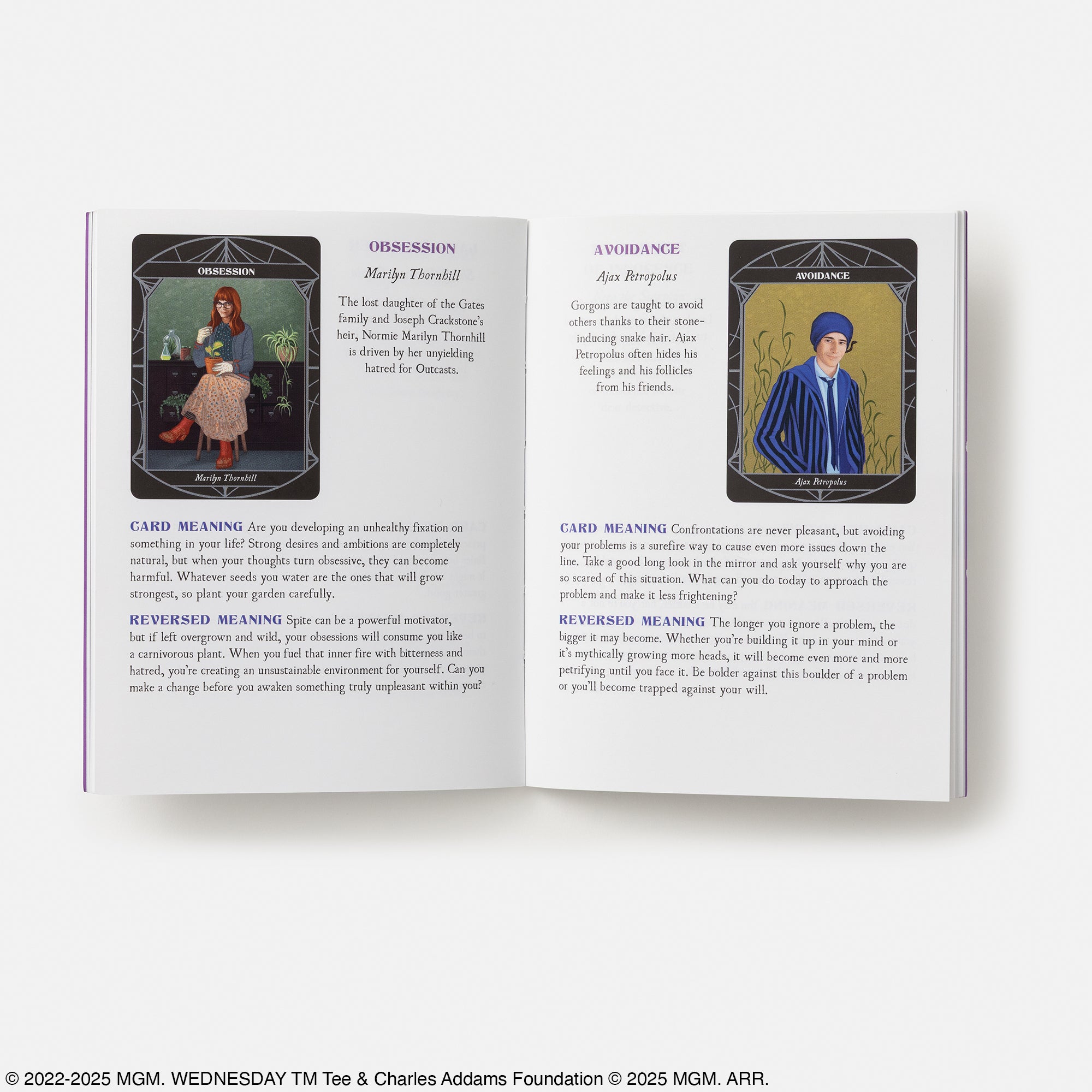 Open book showing tarot card illustrations with card meanings on a white background