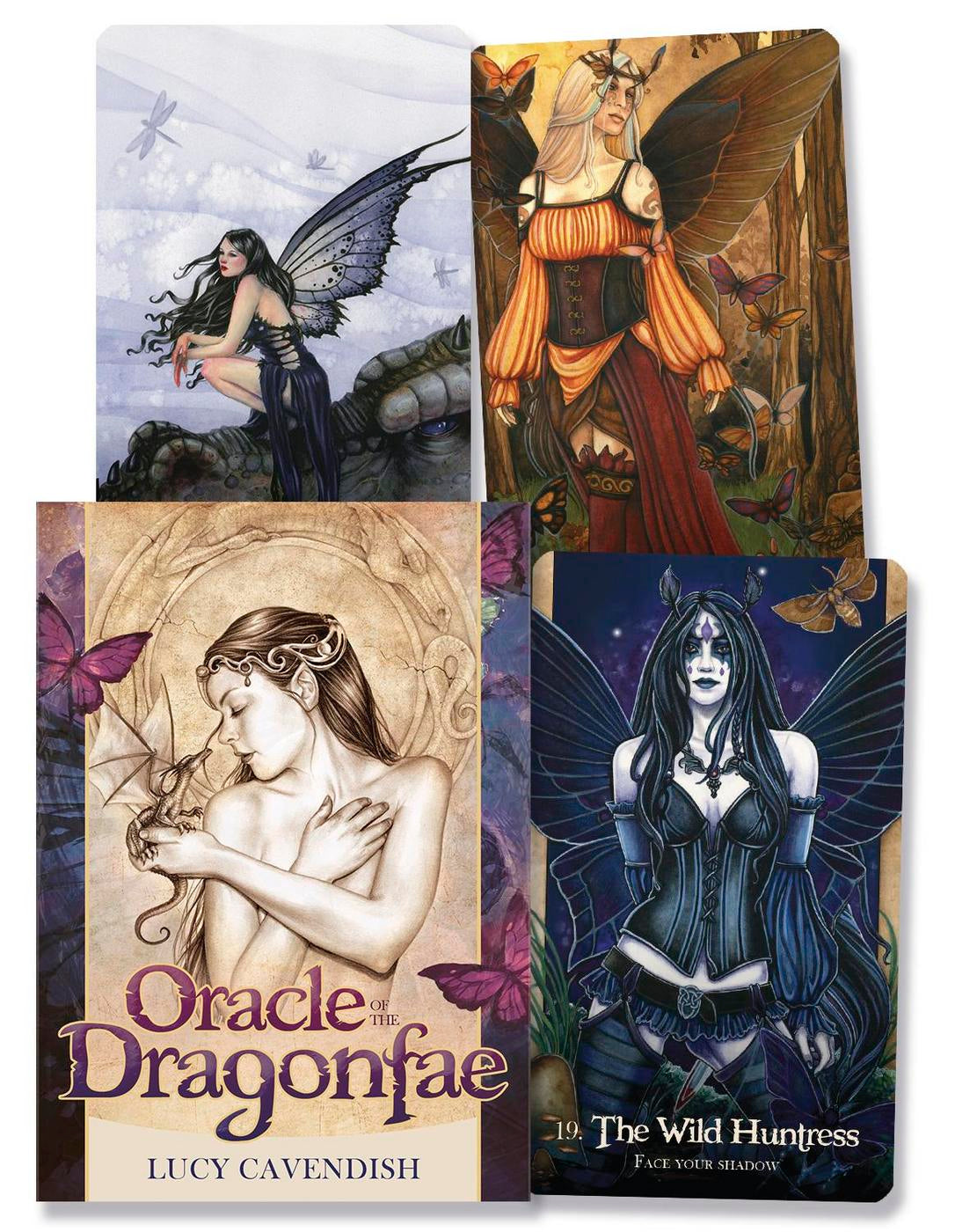 Collection of Oracle cards featuring fantasy characters with a prominent 'Oracle of the Dragonfae' card.
