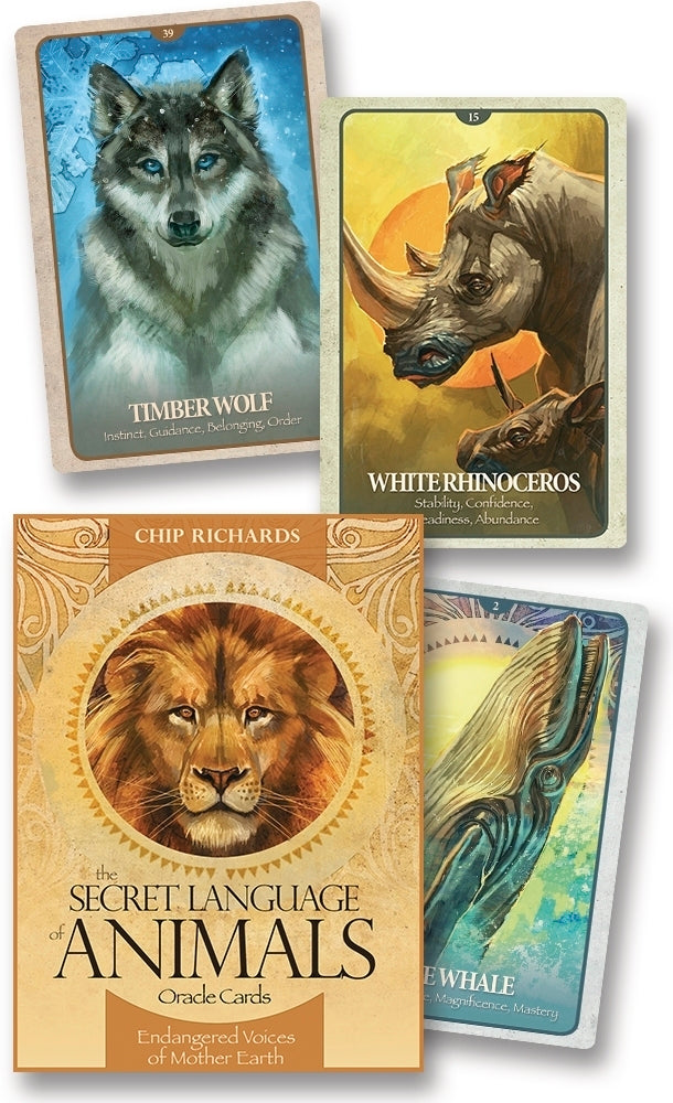 Secret Language of Animals Oracle Cards