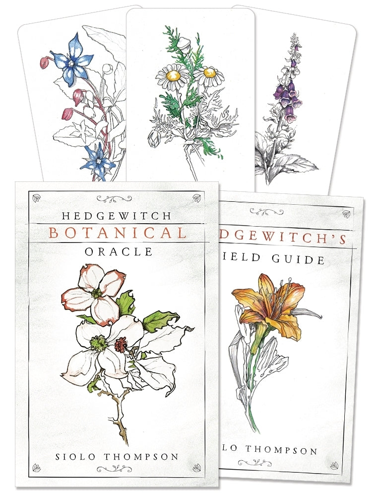 Hedgewitch Botanical Oracle cards with floral illustrations on a white background