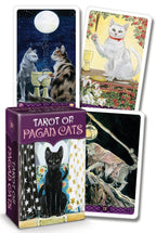 Tarot cards with cat illustrations and a box labeled 'Tarot of Pagan Cats'.