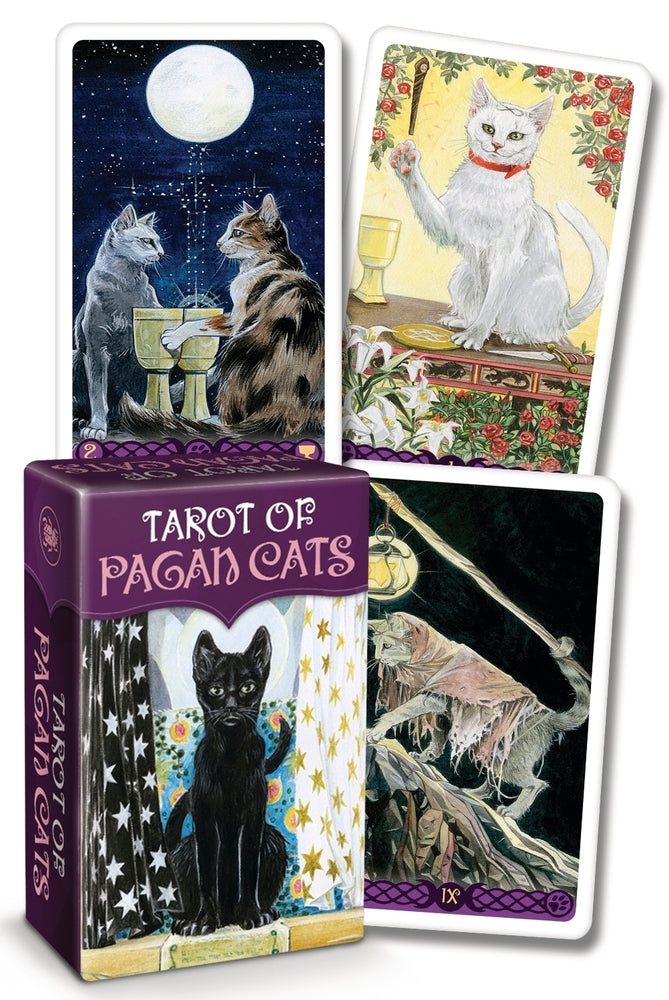 Tarot cards with cat illustrations and a box labeled 'Tarot of Pagan Cats'.