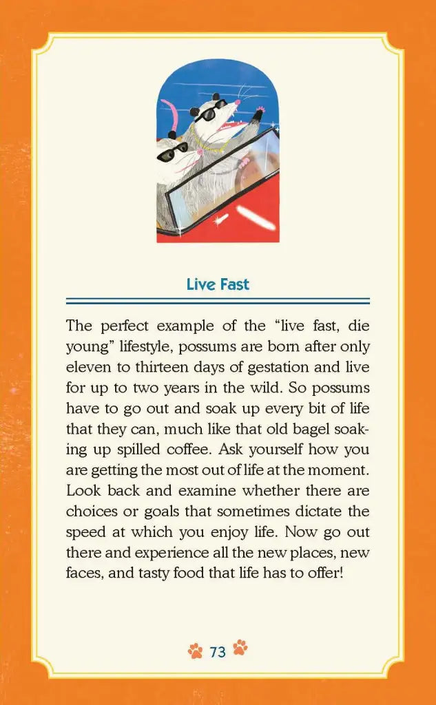 Card with a cartoon possum on a smartphone, text about 'Live Fast' lifestyle, and an orange border.