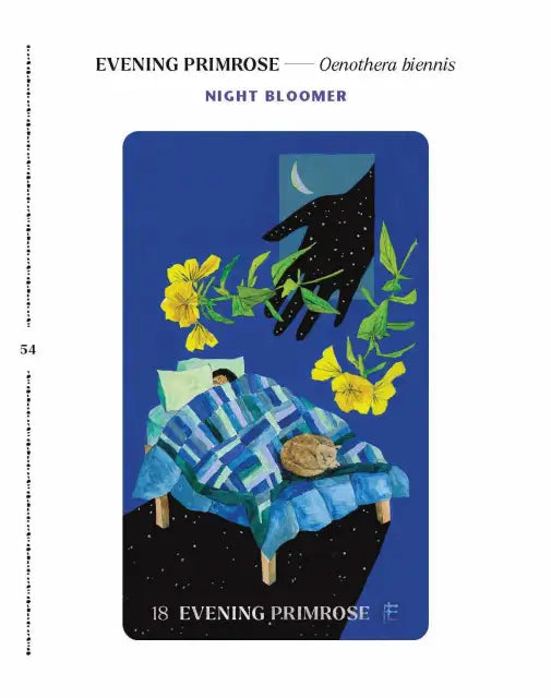 Illustration of a hand reaching towards a person in bed with evening primrose flowers, labeled 'Evening Primrose' on a blue background.