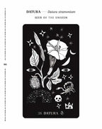 Black and white illustration of a plant with star-like shapes and text on a black background