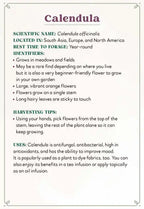 Informational text about Calendula on a white background