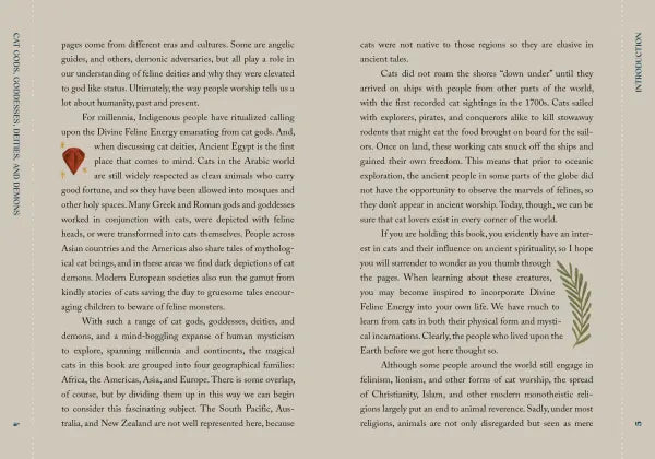 Text page from a book with a decorative element on the left side.