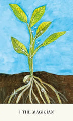 Illustration of a plant with roots emerging from soil against a blue sky.