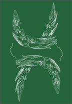 A square art print featuring white line art illustrations of classical winged figures, arranged symmetrically on a solid dark green background.