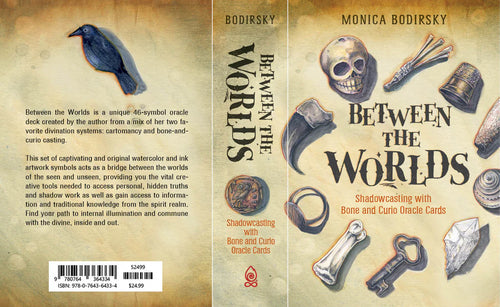 Book cover of 'Between the Worlds' by Monica Bodirsky with illustrations and text.