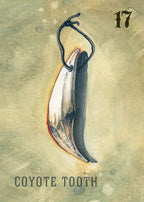 Illustration of a coyote tooth on a textured beige background with the number 17 and text.
