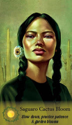Woman with braided hair and flower in hair against a desert background with cacti.