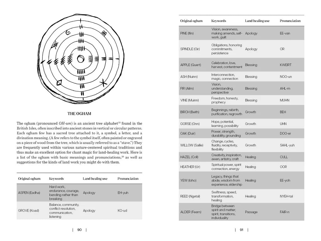 Page from a book showing an Ogham symbol and its translation.