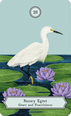 Card featuring a snowy egret among lily pads with a blue background