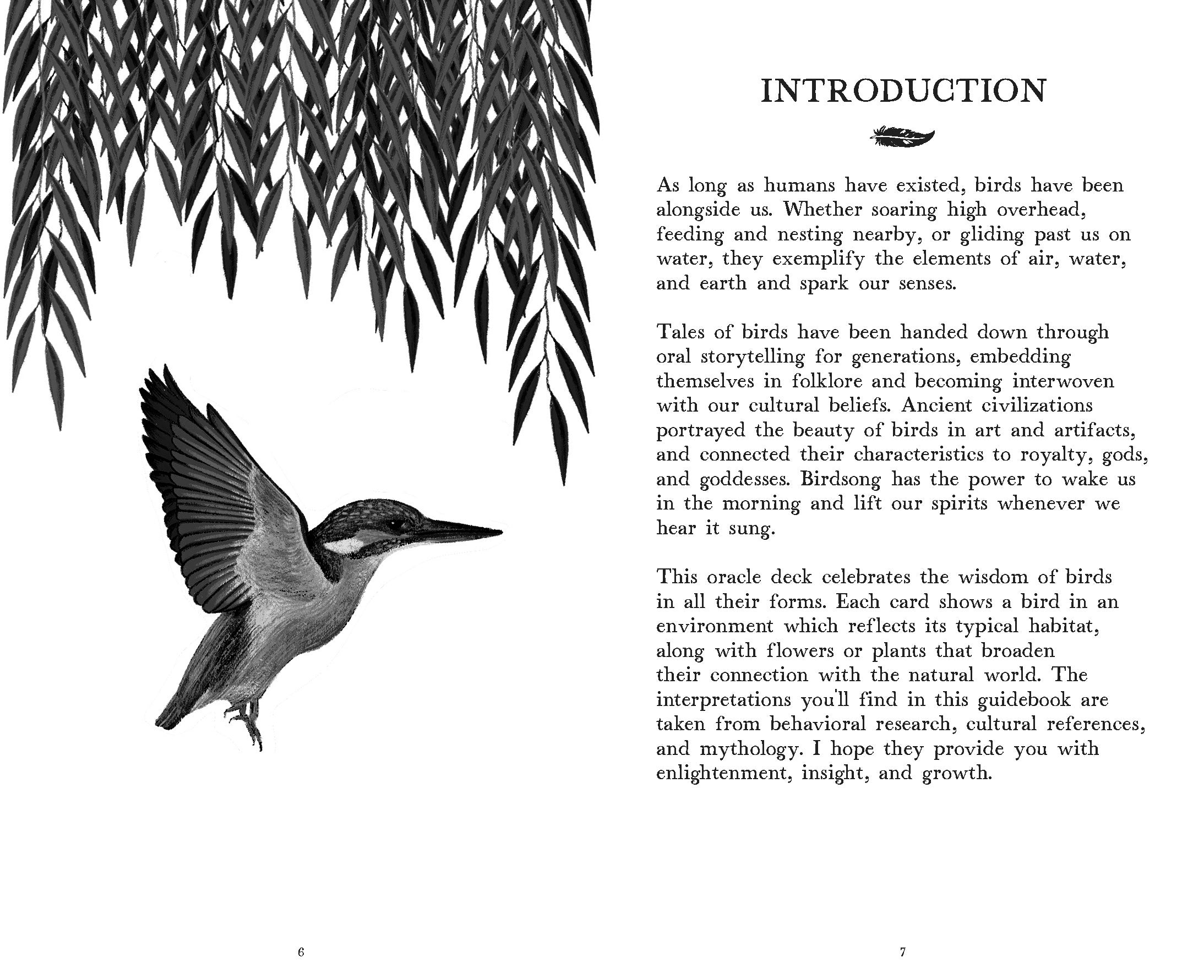 Ornithological book with a black and white illustration of a bird and text on a white background