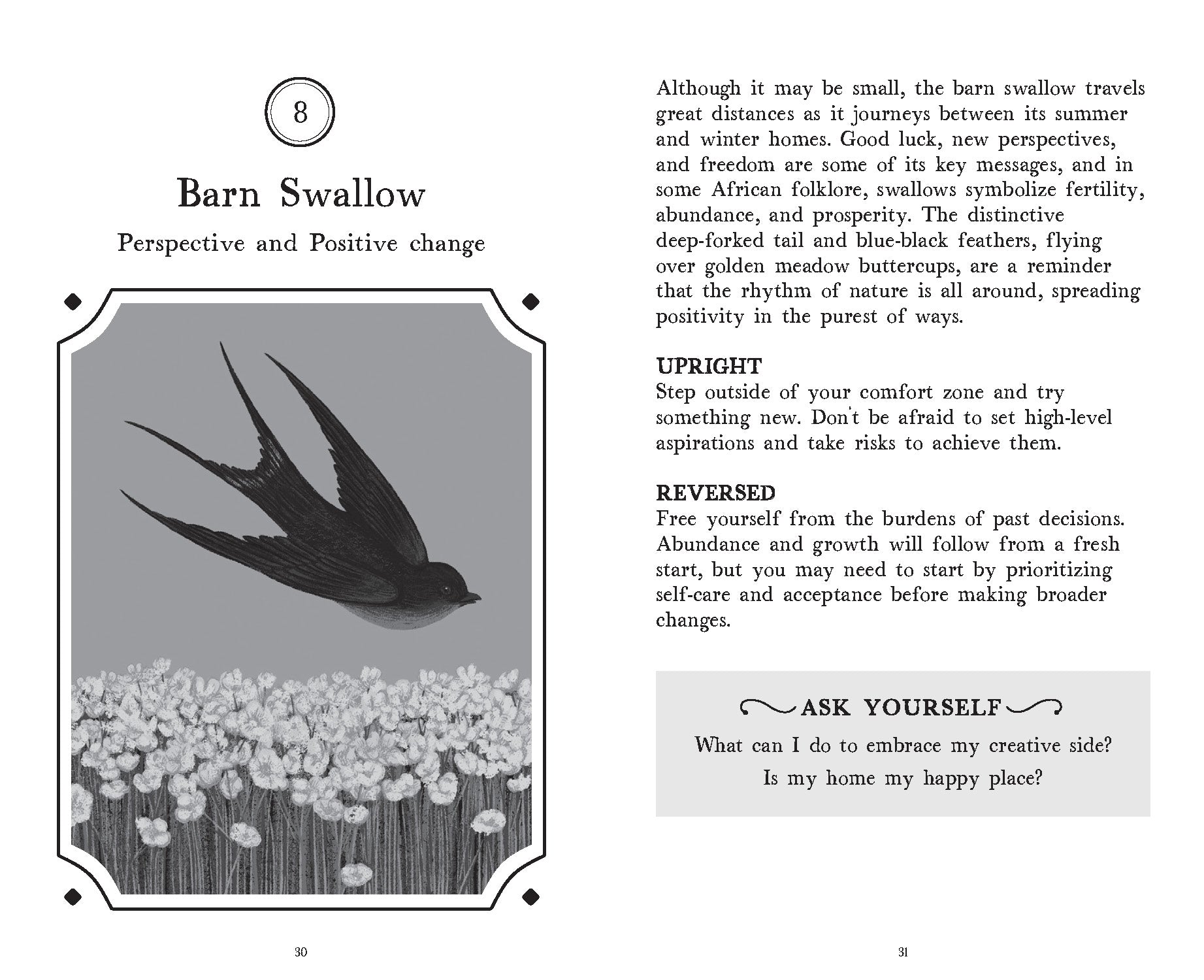 Page from a book featuring a black and white illustration of a barn swallow and text about perspective and positive change.