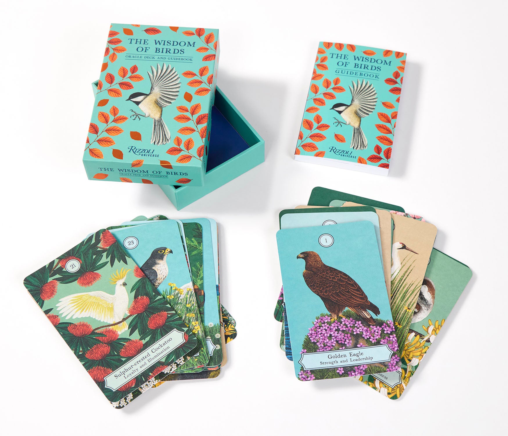 Card game set with bird illustrations and decorative boxes on a white background