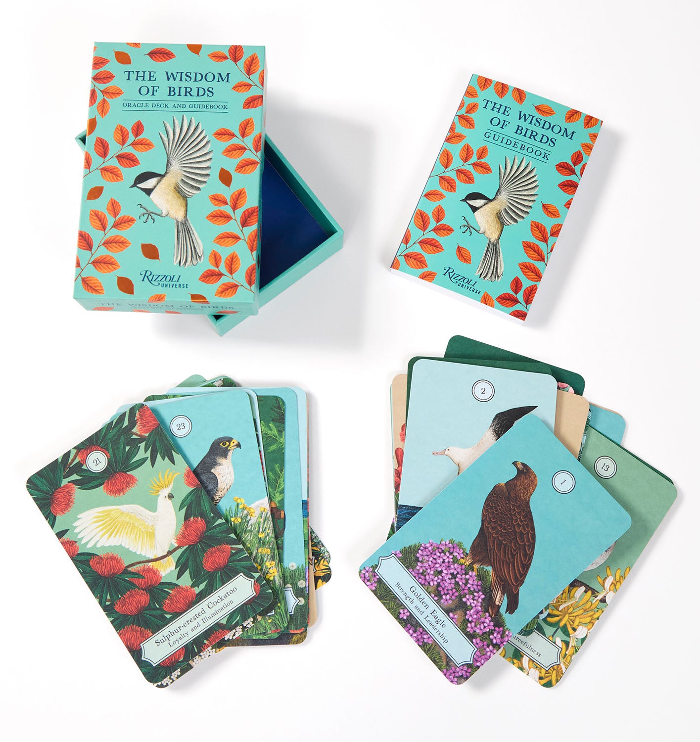 Set of 'The Wisdom of Birds' card decks with colorful bird illustrations on a white background.