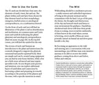 Text page from a book or guide on wildcrafting and plant identification, with sections on how to use cards and descriptions of plants.