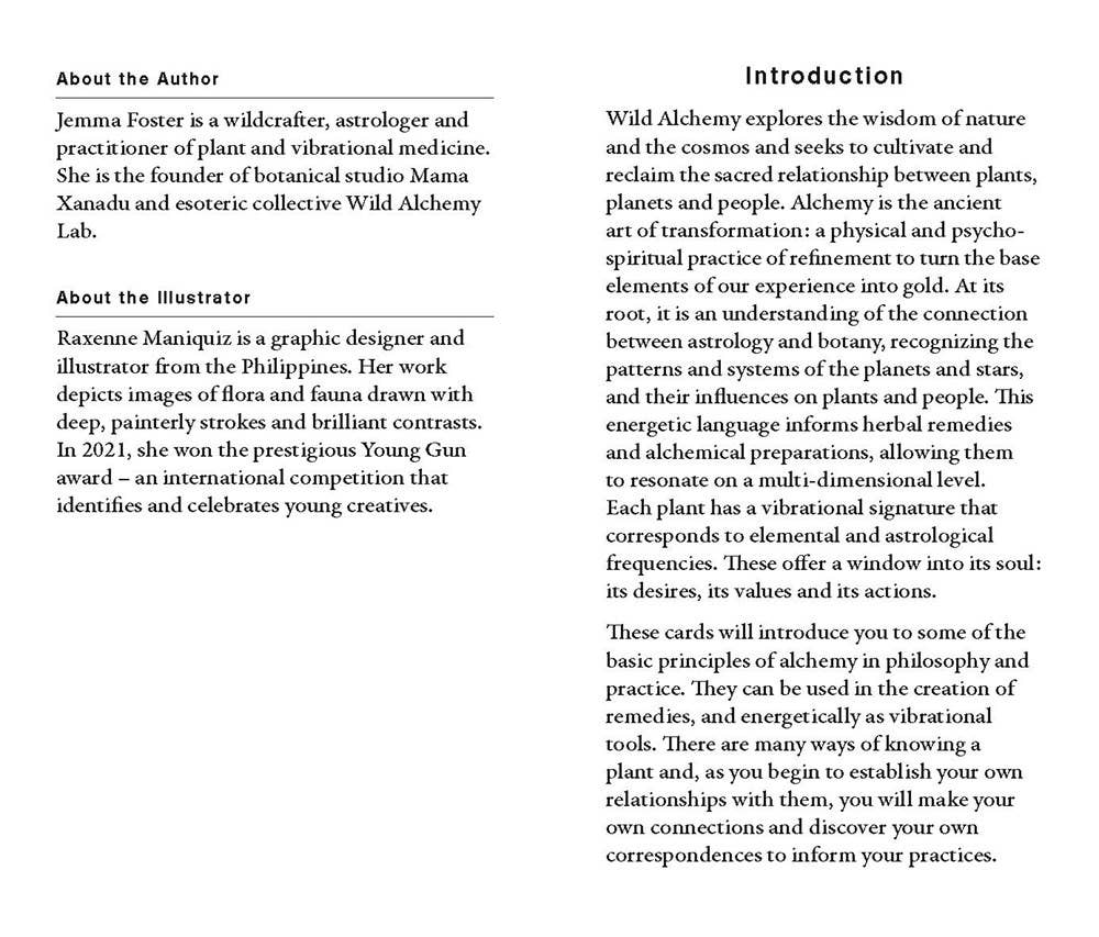Text about the author, illustrator, and introduction to Wild Alchemy on a white background