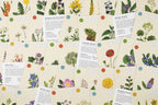 Collection of botanical cards with illustrations and text on a beige background