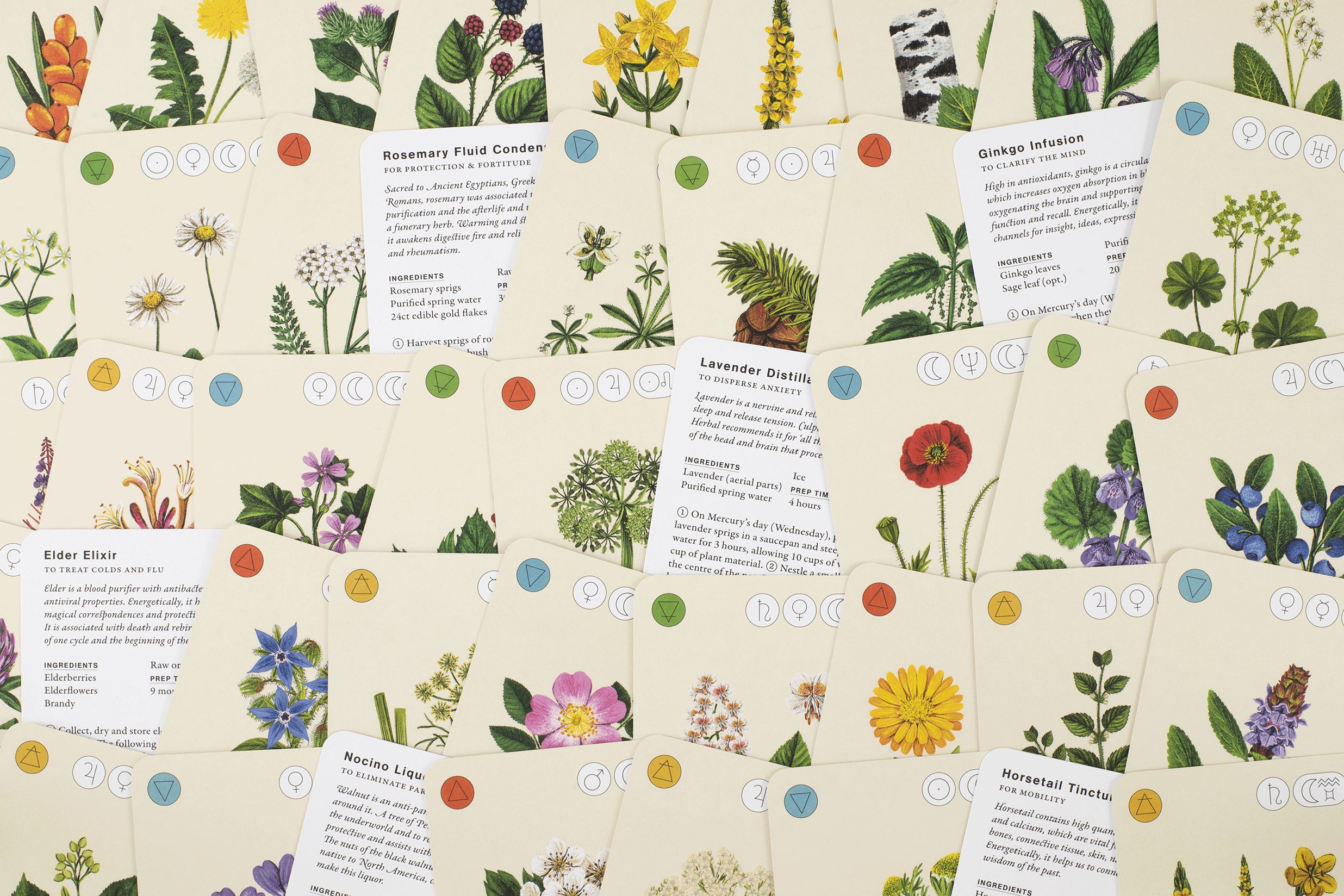 Collection of botanical cards with illustrations and text on a beige background