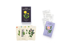 Set of cards with plant illustrations and 'Wild Alchemy Lab' branding on a white background