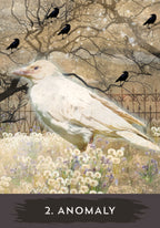 White bird among flowers with black birds on branches, labeled '2. Anomaly'.