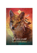 Coyote spirit card with a colorful background and text
