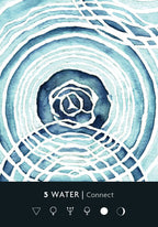 Artistic depiction of a rose surrounded by watercolor concentric circles with '5 WATER Connect' text at the bottom.