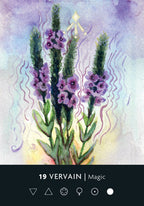 Watercolor illustration of vervain flowers with a mystical background