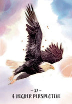 Sisterhood of the Seers Oracle