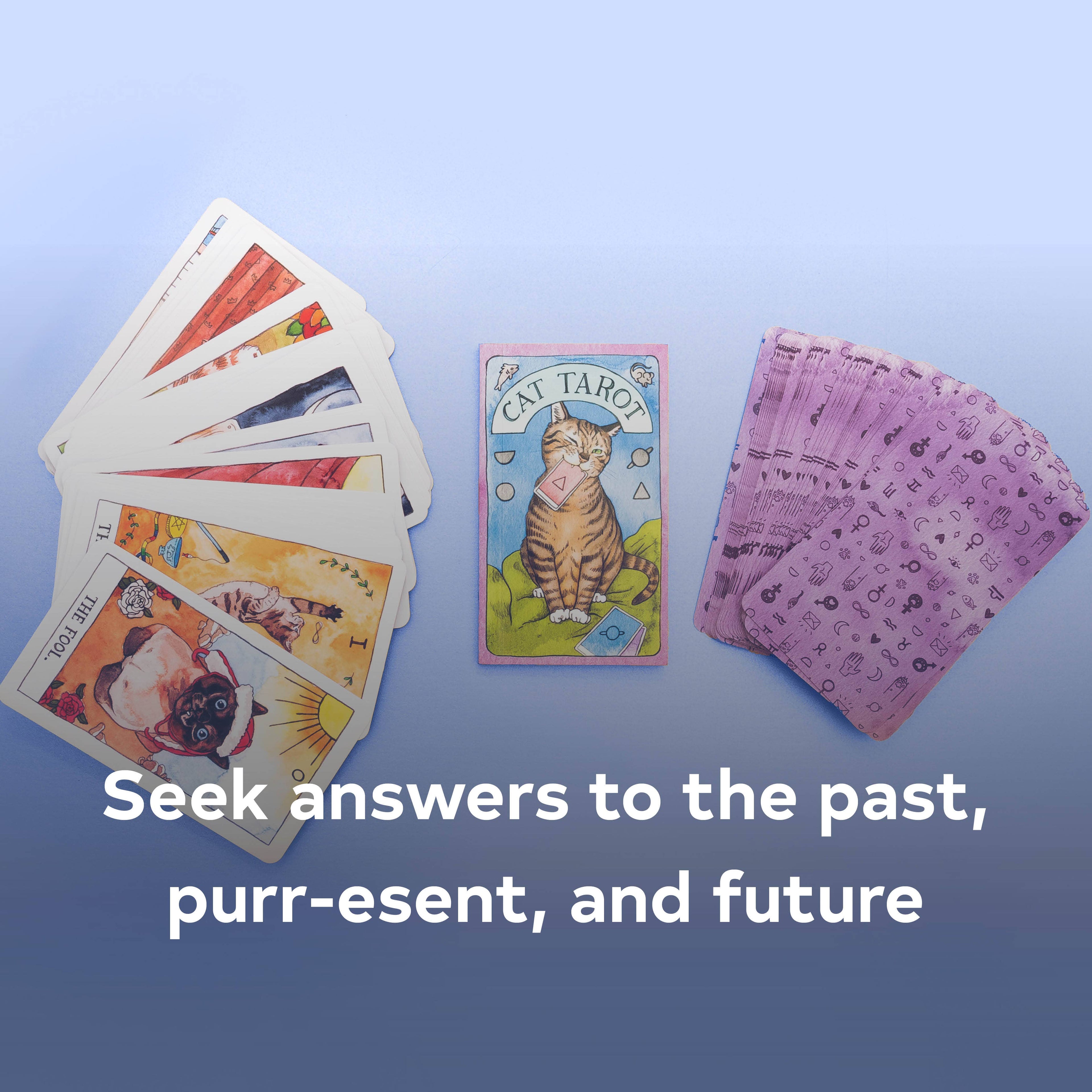 Cat-themed tarot cards on a blue background with text 'Seek answers to the past, purr-esent, and future'.
